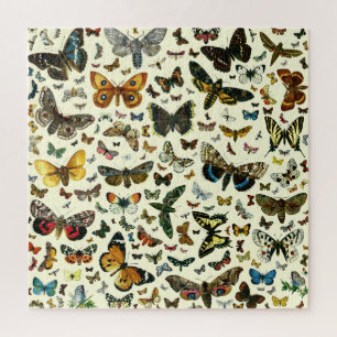 Botterfly collage - scores voor vlinders en moten legpuzzel