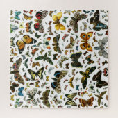 Botterfly collage - scores voor vlinders en moten legpuzzel (Horizontaal)