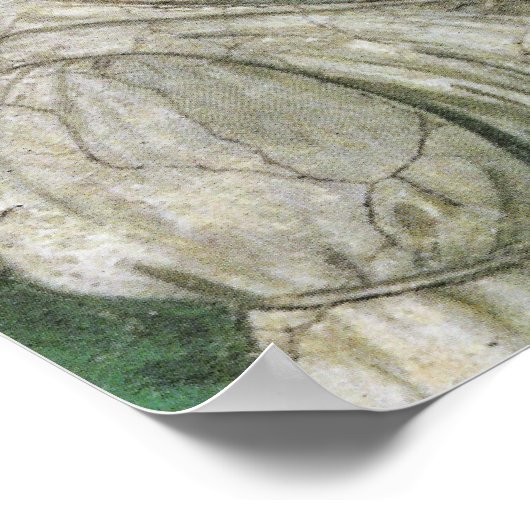 Botticelli Goddess Renaissance Fine Art Poster (Hoek)