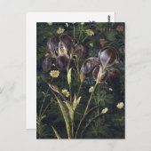 Botticelli Irise Briefkaart (Voorkant / Achterkant)