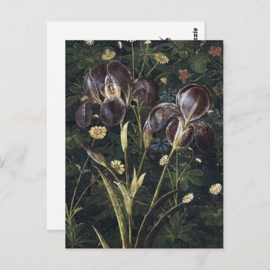 Botticelli Irise Briefkaart (Voorkant / Achterkant)