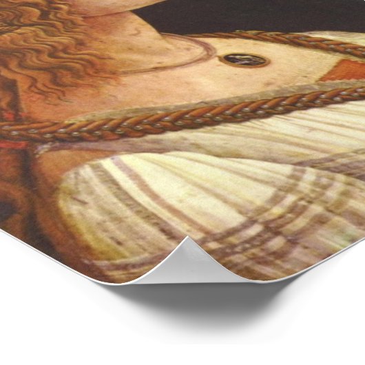 Botticelli-Portret van de jonge Simonetta Vespucci Poster (Hoek)