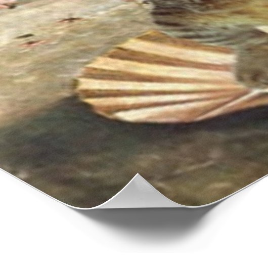 Botticelli's beroemde Venus is echt een kat Poster (Hoek)