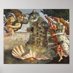 Botticelli's beroemde Venus is echt een kat Poster
