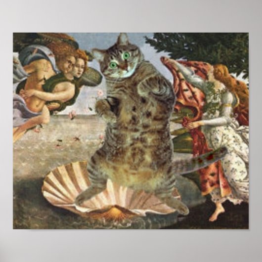 Botticelli's beroemde Venus is echt een kat Poster (Voorkant)