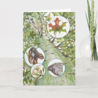 Bottle Tree Wenskaart (5" x 7") met Envelop Kaart