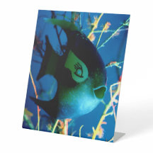 Bottled Fish jGibney The Museum Zazzle