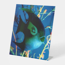 Bottled Fish jGibney The Museum Zazzle