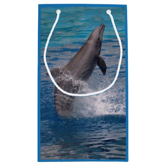 Bottlenosdolfijn Klein Cadeauzakje (Achterkant)