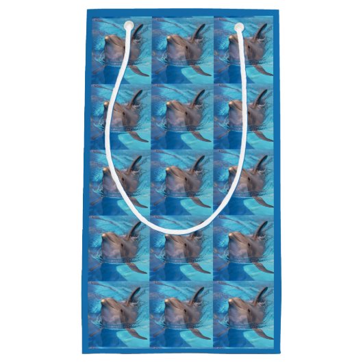 Bottlenosdolfijn Klein Cadeauzakje (Voorkant)