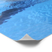 Bottlenosdolfijn Poster (Hoek)