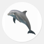 Bottlenose Bliss Ronde Sticker (Voorkant)