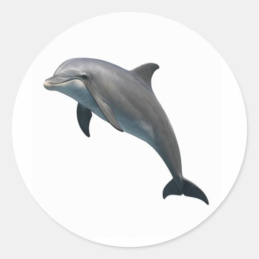 Bottlenose Bliss Ronde Sticker (Voorkant)