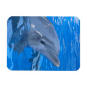 Bottlenose Dolfijn Premium Magneet (Horizontaal)