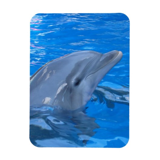 Bottlenose Dolfijn Premium Magneet (Verticaal)