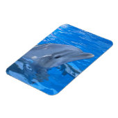 Bottlenose Dolfijn Premium Magneet (Linkerzijde)