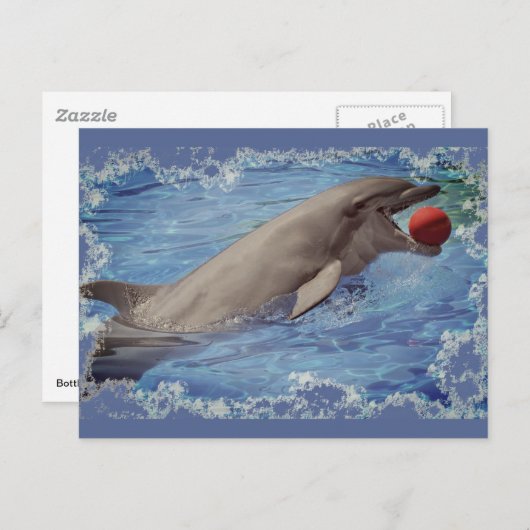 Bottlenose dolfijn zwemmen met rode bal briefkaart (Voorkant / Achterkant)