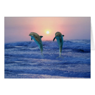 Bottlenose Dolphin bij zonsopgang