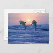 Bottlenose Dolphin bij zonsopgang Briefkaart (Voorkant / Achterkant)