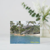 Bottlenose Dolphin Briefkaart (Staand voorkant)