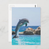Bottlenose Dolphin Briefkaart (Voorkant / Achterkant)