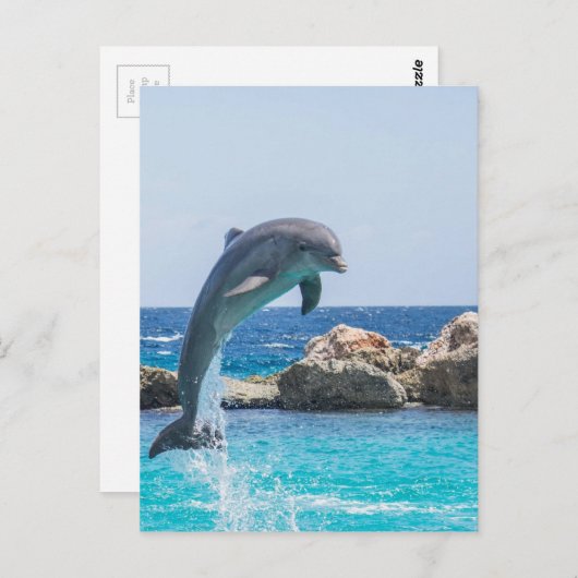 Bottlenose Dolphin Briefkaart (Voorkant / Achterkant)