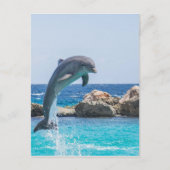 Bottlenose Dolphin Briefkaart (Voorkant)