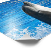 Bottlenose Dolphin Foto Afdruk (Hoek)