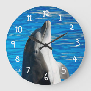 Bottlenose Dolphin Grote Klok