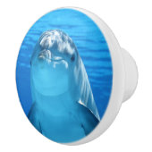 Bottlenose Dolphin kijkt naar de camera onder wate Keramische Knop (Rechts)