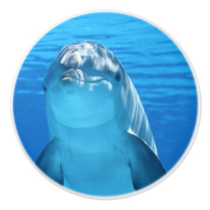 Bottlenose Dolphin kijkt naar de camera onder wate Keramische Knop