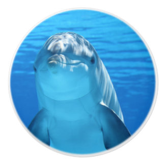 Bottlenose Dolphin kijkt naar de camera onder wate Keramische Knop