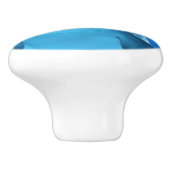 Bottlenose Dolphin kijkt naar de camera onder wate Keramische Knop (Zijkant)