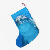 Bottlenose Dolphin kijkt naar de camera onder wate Kleine Kerstsok (Achterkant (Hangend))