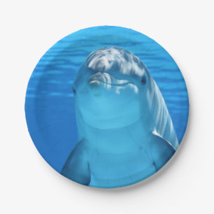 Bottlenose Dolphin kijkt naar de camera onder wate Papieren Bordje