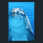 Bottlenose Dolphin kijkt naar de camera onder wate Poster<br><div class="desc">Cute bottlenose Dolphin kijkt naar de camera onder water en lijkt te glimlachen. Blauw water ziet eruit als een uitnodiging.</div>