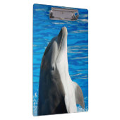 Bottlenose Dolphin Klembord (Rechts)
