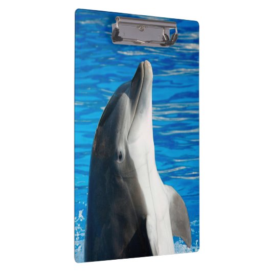 Bottlenose Dolphin Klembord (Rechts)