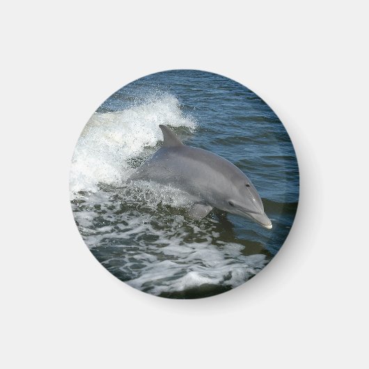 Bottlenose Dolphin Magneet (Voorkant)