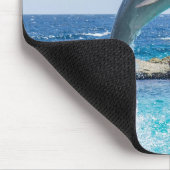 Bottlenose Dolphin Muismat (Hoek)