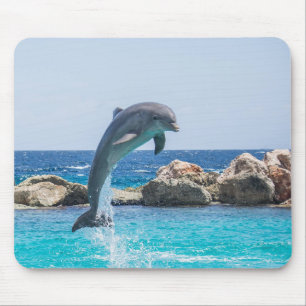 Bottlenose Dolphin Muismat