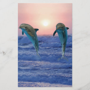 Bottlenose Dolphin op Sunrise