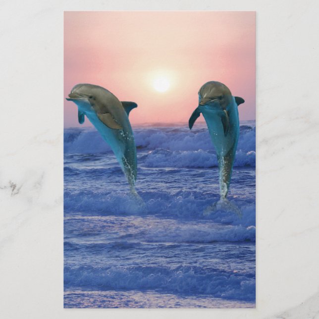 Bottlenose Dolphin op Sunrise (Voorkant)