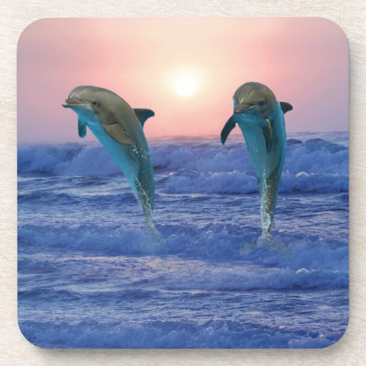 Bottlenose Dolphin op Sunrise Drankjes Onderzetter (Voorkant)