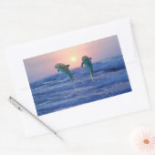 Bottlenose Dolphin op Sunrise Rechthoekige Sticker (Envelop)