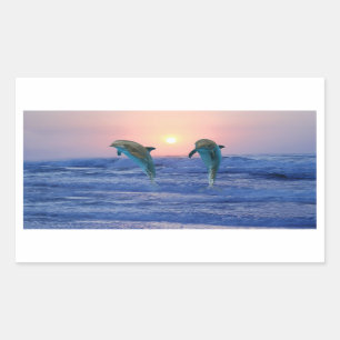 Bottlenose Dolphin op Sunrise Rechthoekige Sticker