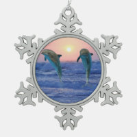 Bottlenose Dolphin op Sunrise