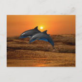 Bottlenose Dolphin op Sunset Briefkaart (Voorkant)
