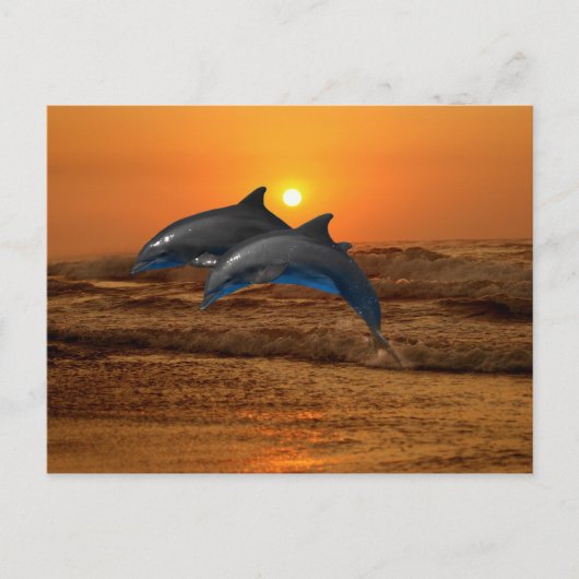 Bottlenose Dolphin op Sunset Briefkaart (Voorkant)