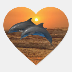 Bottlenose Dolphin op Sunset Hart Sticker